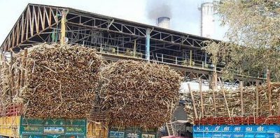 संपूर्ण ऊस गाळप होईपर्यंत साखर कारखाने सुरू राहणार