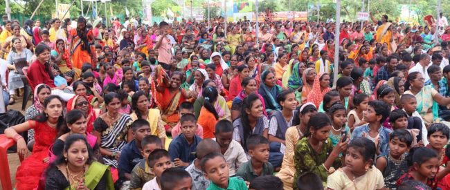 ‘माझा बाप कुठं जन्माला आला, मला माहीत नाही, मी जातीच्या दाखल्यासाठी वंशावळ कुठूनआणू’ ‘माझा बाप कुठं जन्माला आला, मला माहीत नाही, मी जातीच्या दाखल्यासाठी वंशावळ कुठूनआणू’